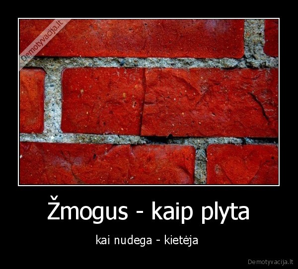 Žmogus - kaip plyta