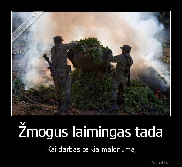 lauzas,darbas,dumai,zole,kanape