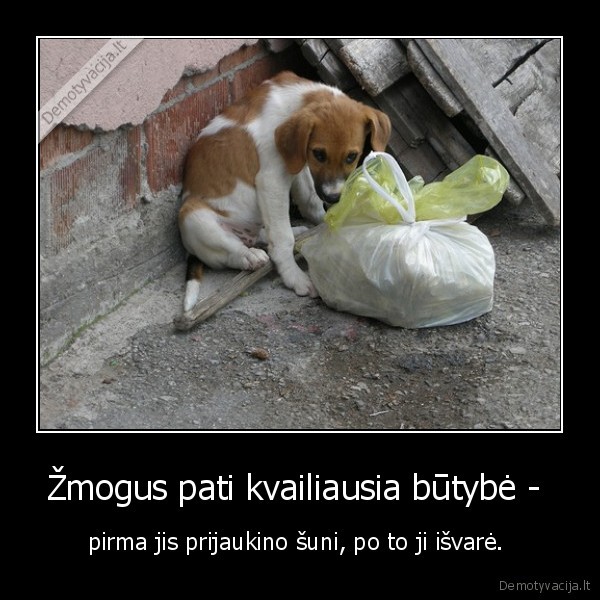 zmogus,kubilius, nekaltas,valinskas, yra, duxas, grybauskaite, yra, geras, zmogus