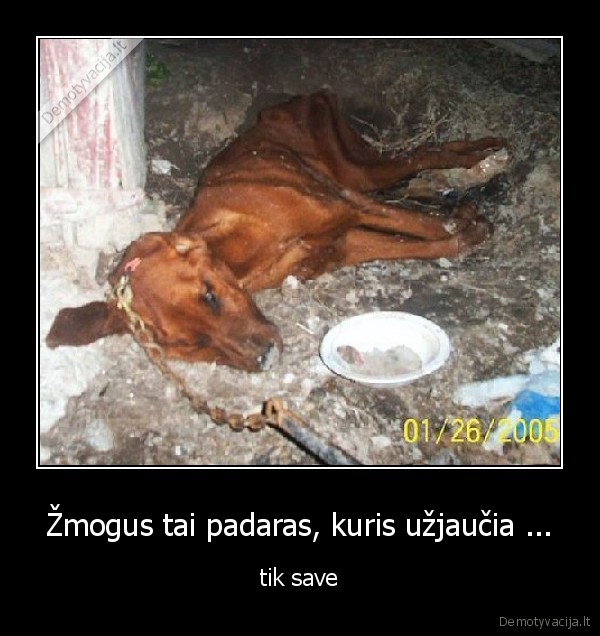 Žmogus tai padaras, kuris užjaučia ...