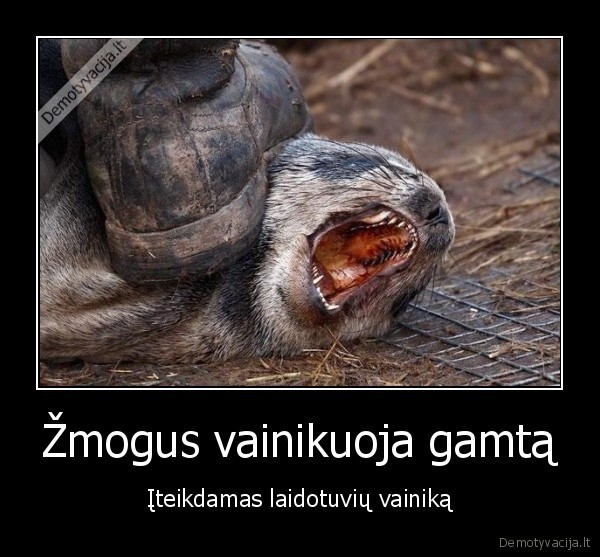 Žmogus vainikuoja gamtą