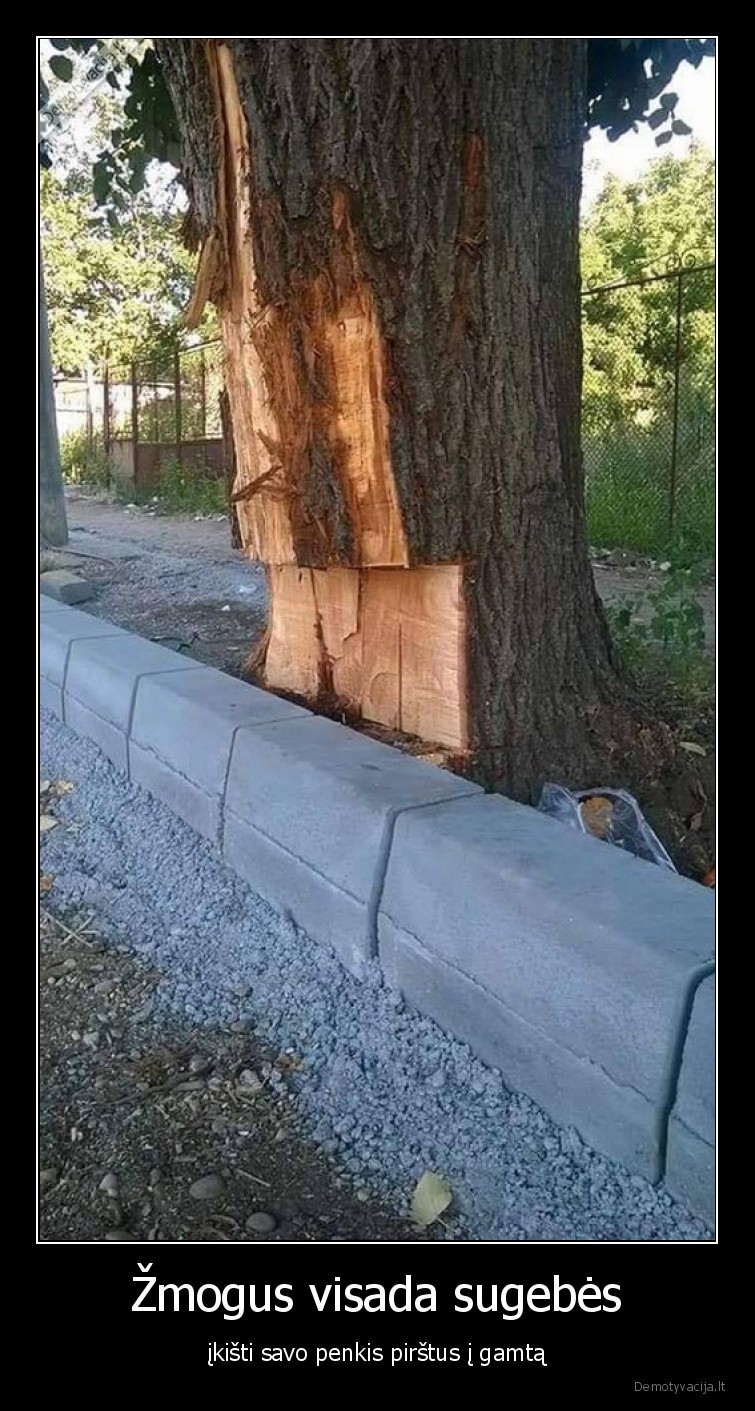 zmogus,gamta,medis,bordiuras