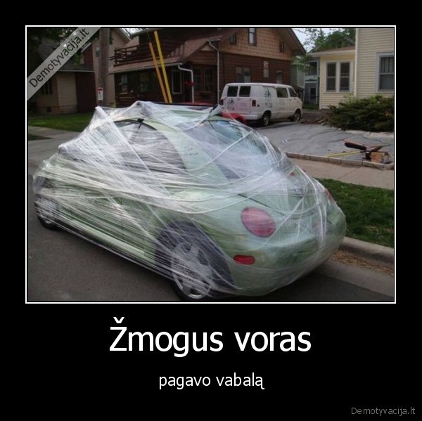 vabalas,zmogus, voras