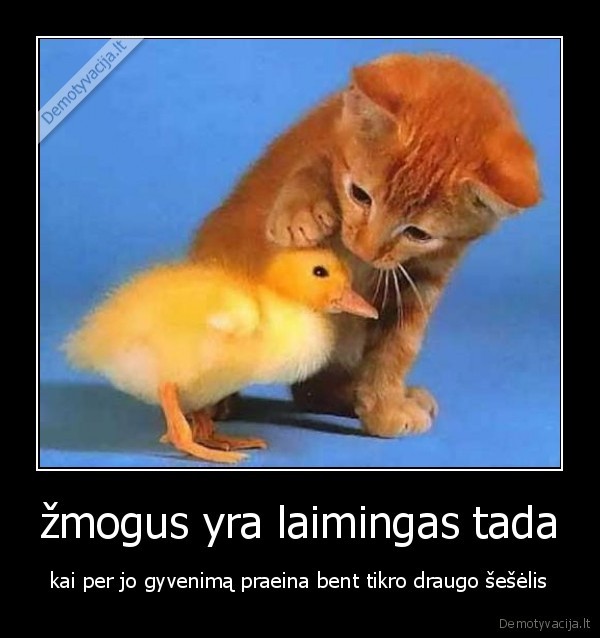 žmogus yra laimingas tada