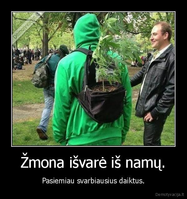 zole,kuprine,daiktai