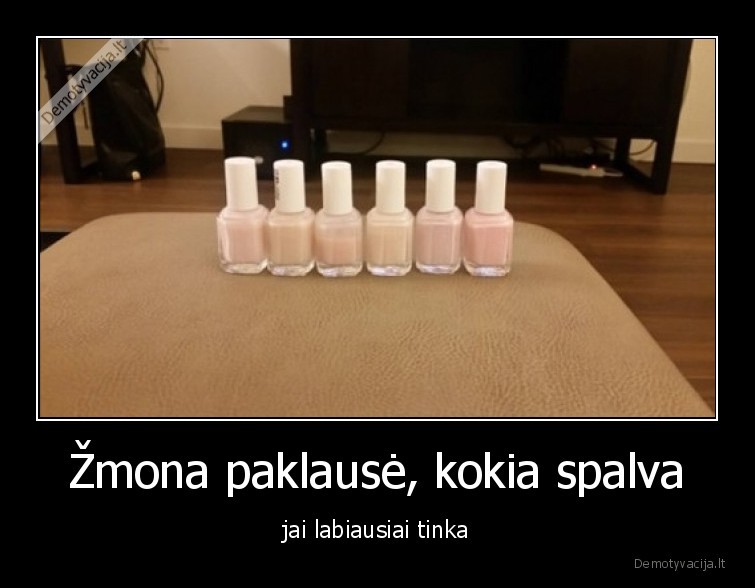 spalva,zmona,vyras,lakas