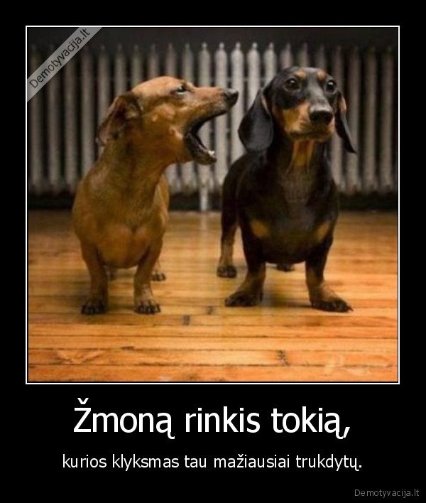 Žmoną rinkis tokią,