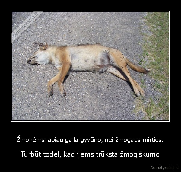 zmones, atsimerkit, pagaliau