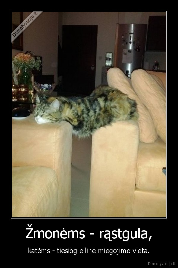 Žmonėms - rąstgula,