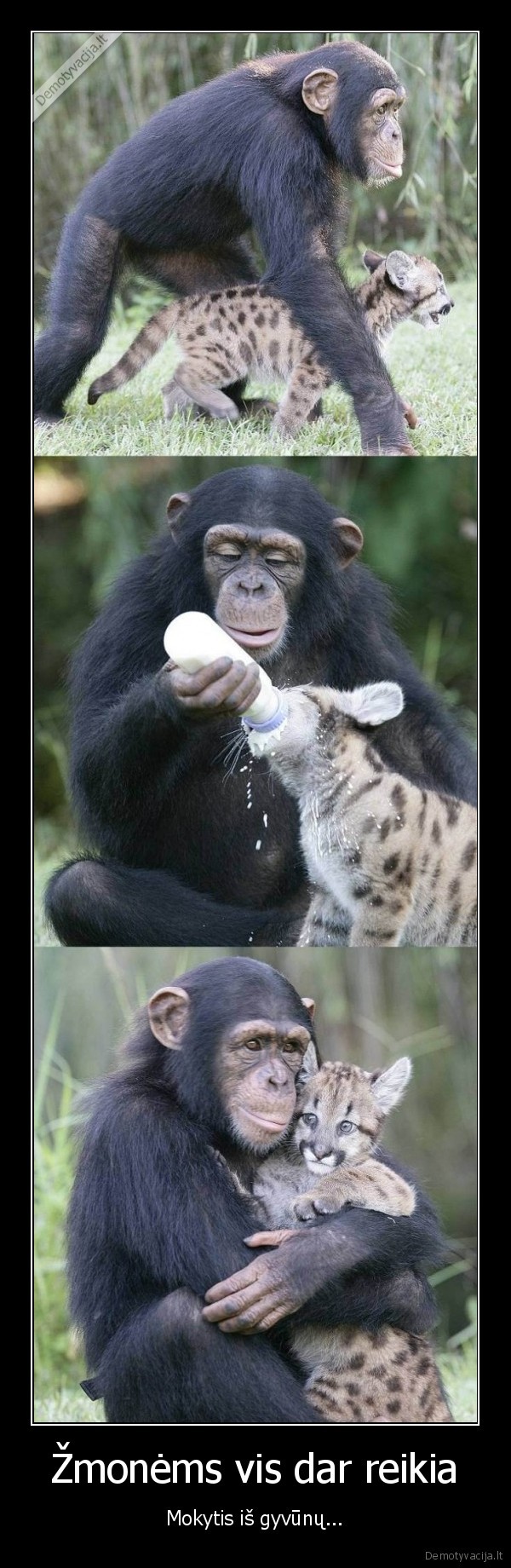 Žmonėms vis dar reikia