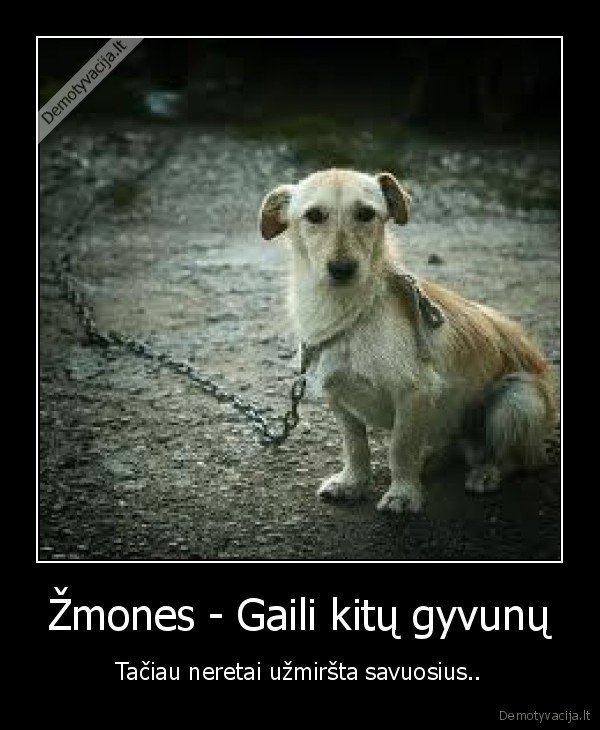 zmogau,geriau, eik, pazaisk, su, savo, draugu, 