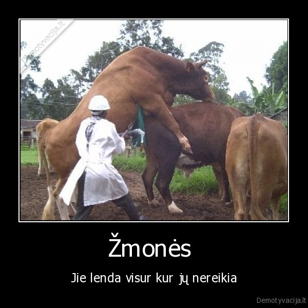 Žmonės 