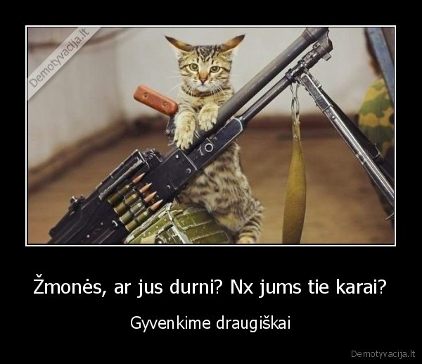 katinas,karas,draugiskai