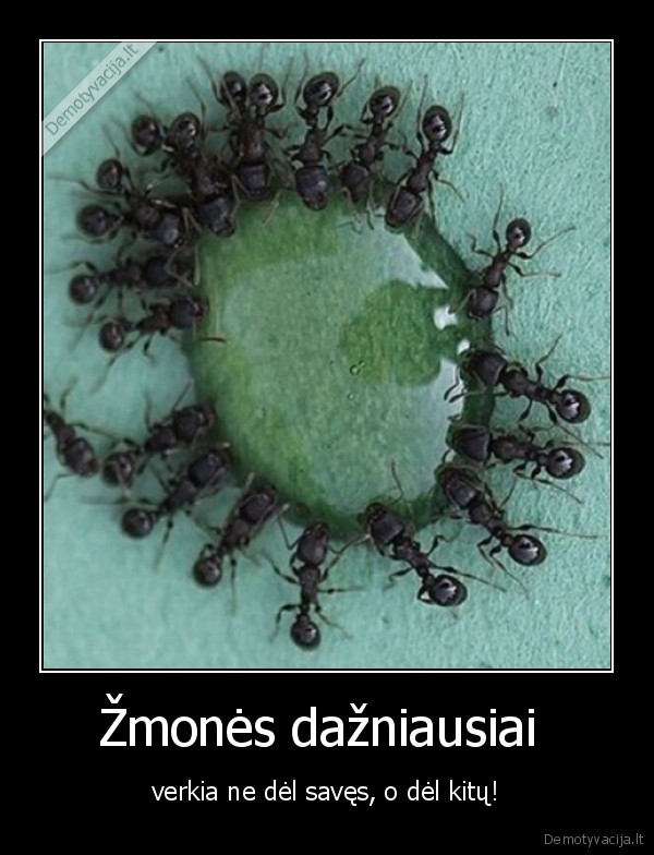 verkti,zmogus,del, kitu,del, saves,skruzdeles,asara