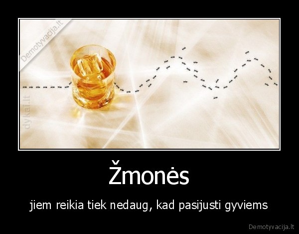 jaunimas,zmones,alkoholis