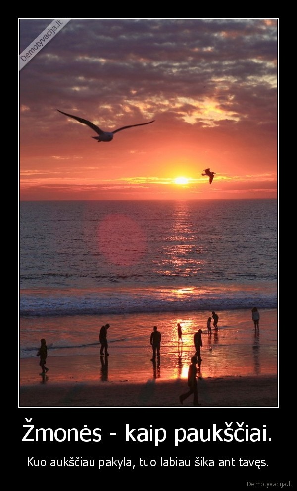zmones,pauksciai,pasikele, zmones
