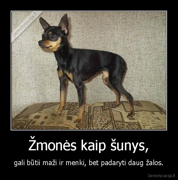 Žmonės kaip šunys,