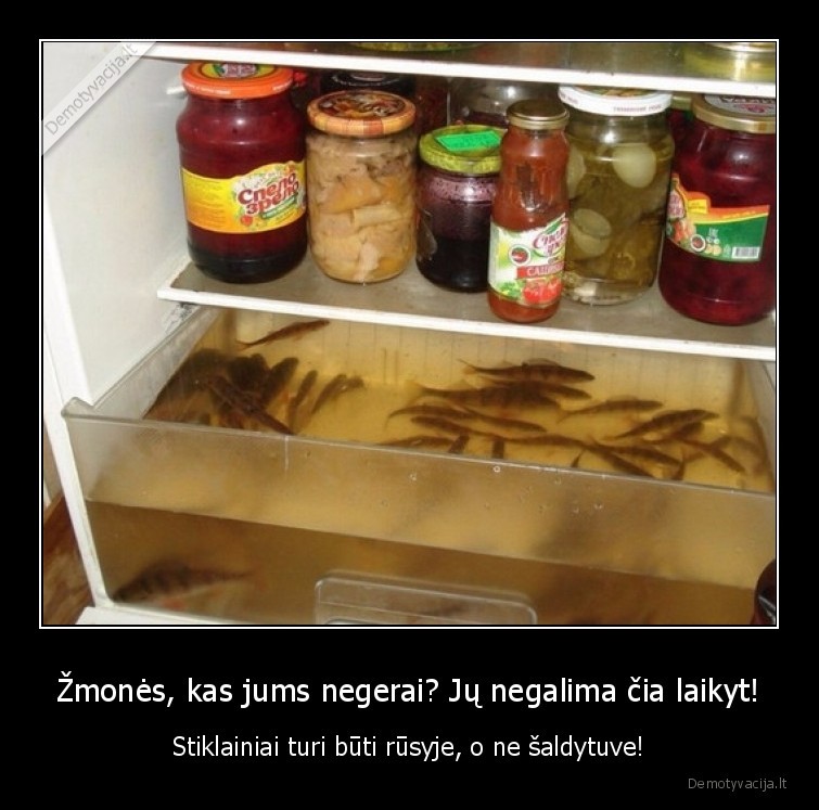 stiklainiai,saldytuvas,zuvys,rusys