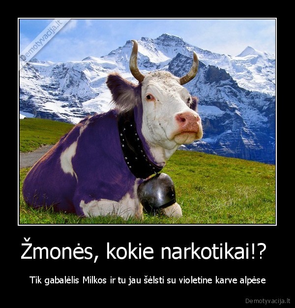 karve, alpes, narkotikai