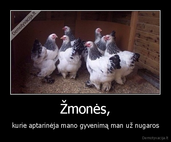 zmones,aptarineti,vistos,gaidziai