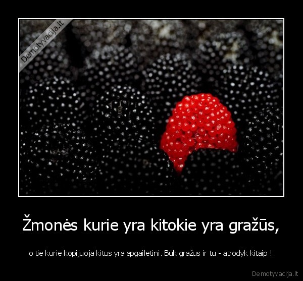 gyvenimas,realybe,kitokie, zmones,grozis,kopijavimas,draugyste