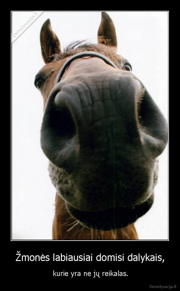 Žmonės labiausiai domisi dalykais,