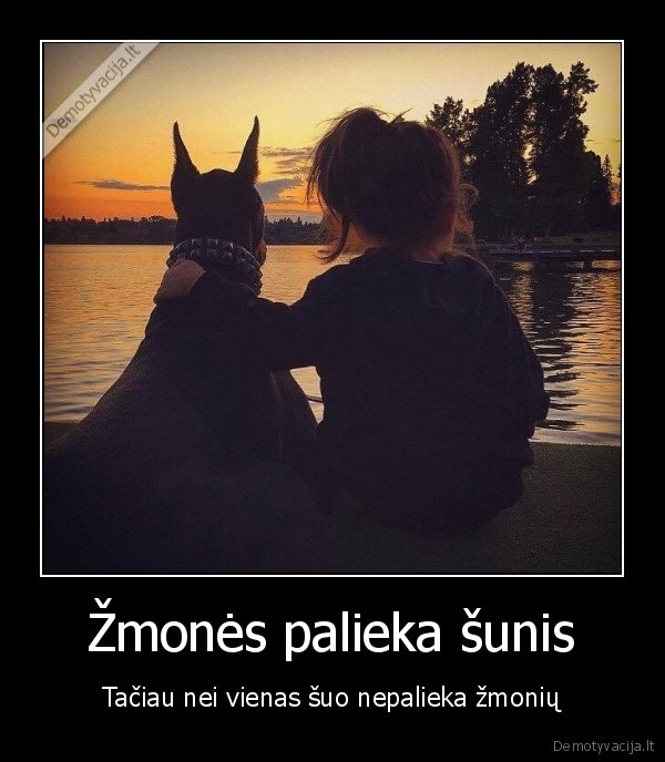 geriausi, draugai,sunys,istikimybe