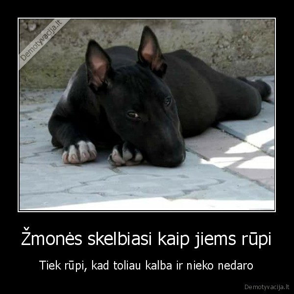 Žmonės skelbiasi kaip jiems rūpi