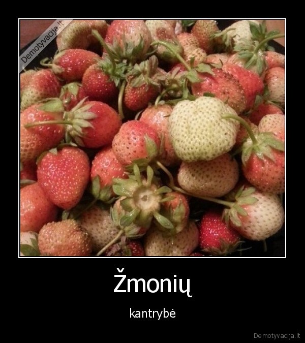 zmones,kantrybe