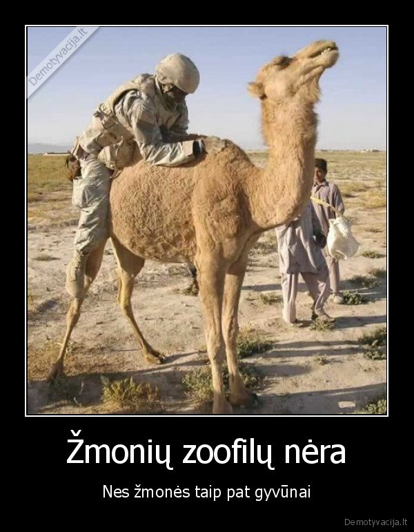 ko, nori,sekaso,neduosiu