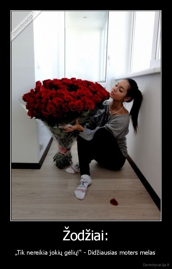 Žodžiai: