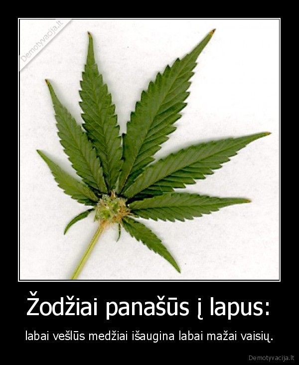 Žodžiai panašūs į lapus:
