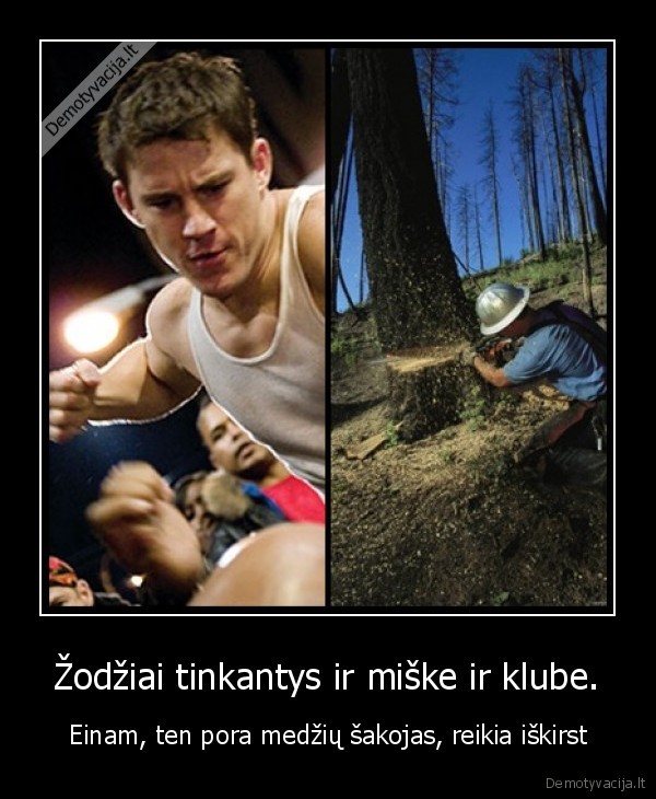 Žodžiai tinkantys ir miške ir klube.