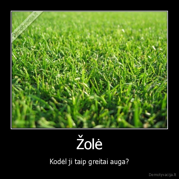 tegul,kubilius,uz, mane,zole,pjauna