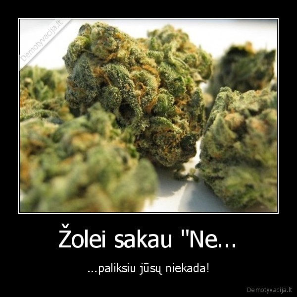 Žolei sakau &quot;Ne...