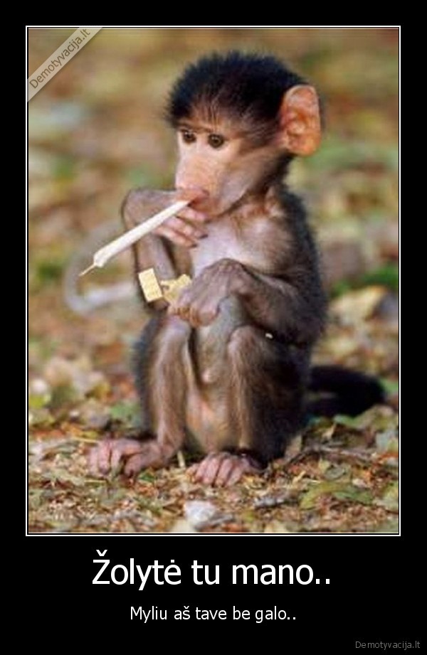 gyvenimas,gyvunai,zolyte