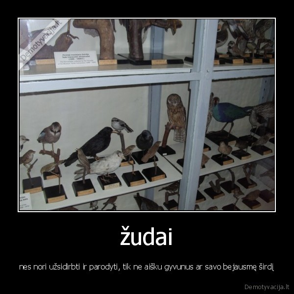 debilai,zudantys,gyvunus