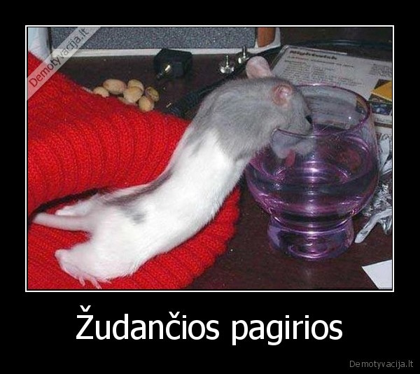 Žudančios pagirios