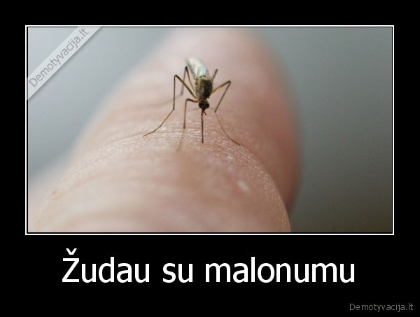Žudau su malonumu