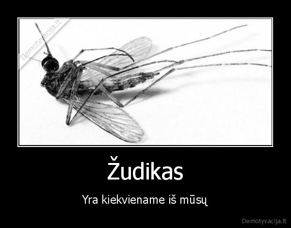 Žudikas