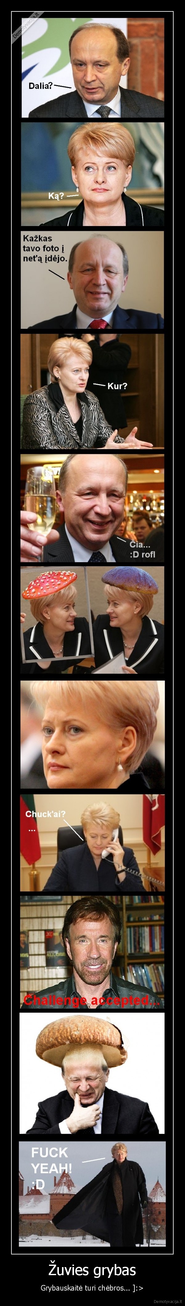 grybauskaite, gali, daugiau, uz, chuck, norris, bet, ji, tingi