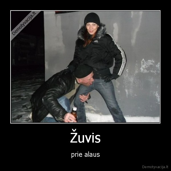 zuvis,alus