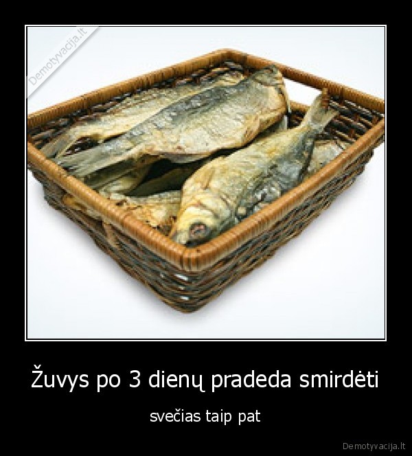 Žuvys po 3 dienų pradeda smirdėti