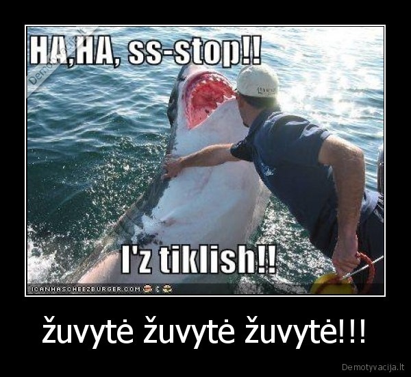 ryklys,funny,juokingi,extreme,zvejyba