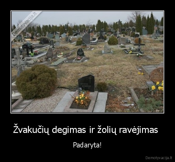 Žvakučių degimas ir žolių ravėjimas 