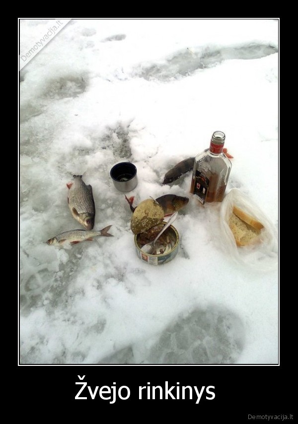 zvejo,rinkinys