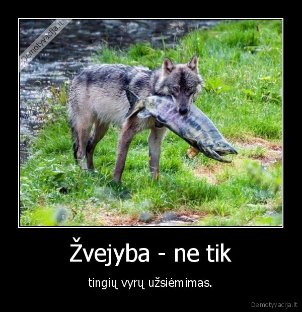 zvejyba,vyras,vilkas