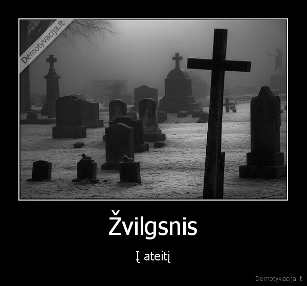 Žvilgsnis