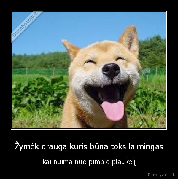 laimingas,vyriskas, organas