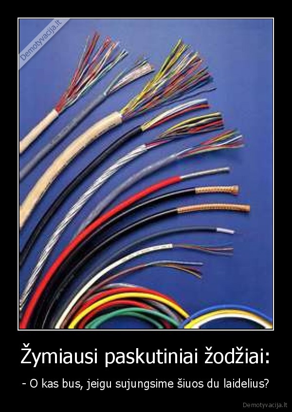 Žymiausi paskutiniai žodžiai: